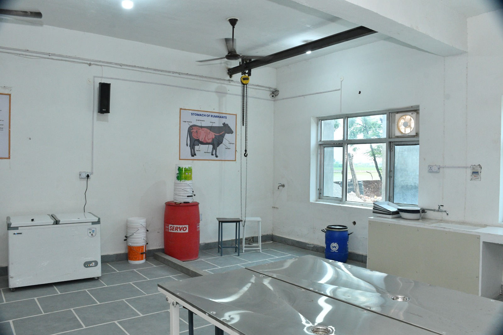 Anatomy Lab